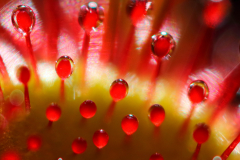 Sticky-danger-2