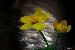 Stream-of-light
