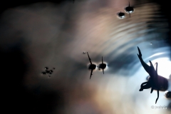 Colorful-swimming-pool