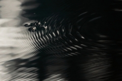 K3_The_Wave_Rider