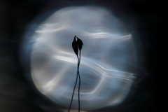 0C7A9567-puro-Hauklampi-Kattilajarvi-Nuuksio-EDIT-1920