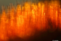 Aurinkotuuli