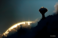Crown-head