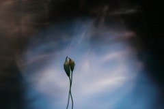 klehtokarhunsammaleet-kuva3-2